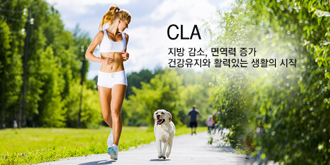 CLA 지방 감소, 면역력 증가 건강유지와 활력있는 생활의 시작
